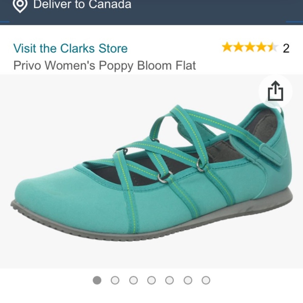 Clark’s privo ballet flats
